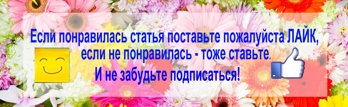 «Клон» Бузовой или что стало с Анфисой Чеховой