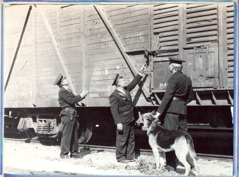 Праздник «День ведомственной охраны железнодорожного транспорта» в 2020 году отмечается 9 декабря, в среду.
Не является официальным выходным.
Ведомственные подразделения, обеспечивающие безопасность пассажирам поездов и охраняющие железнодорожные коммуникации имеют стратегическое значение для стабильного функционирования путей сообщения России. Ежедневно железной дорогой пользуются огромные потоки людей и груза. В связи с этим магистральные линии должны постоянно находиться под охранной. Специализированная служба защищает объекты железной дороги от чрезвычайных ситуаций, способствует целостности перевозимых грузов и контролирует пожарную безопасность. Под надежной защитой здания, пути, мосты и жизни пассажиров.