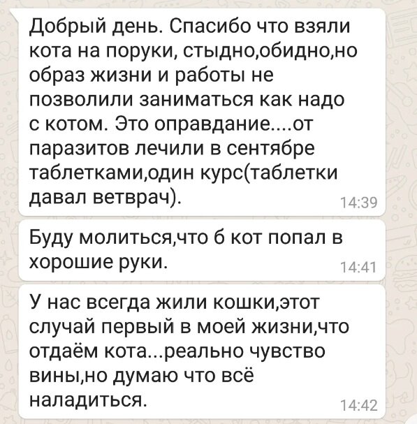  Написала мне потом хозяйка, сама себя заранее извинила.