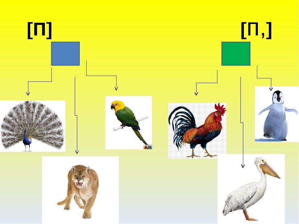 Картинки на звук п в начале слова для детей картинки