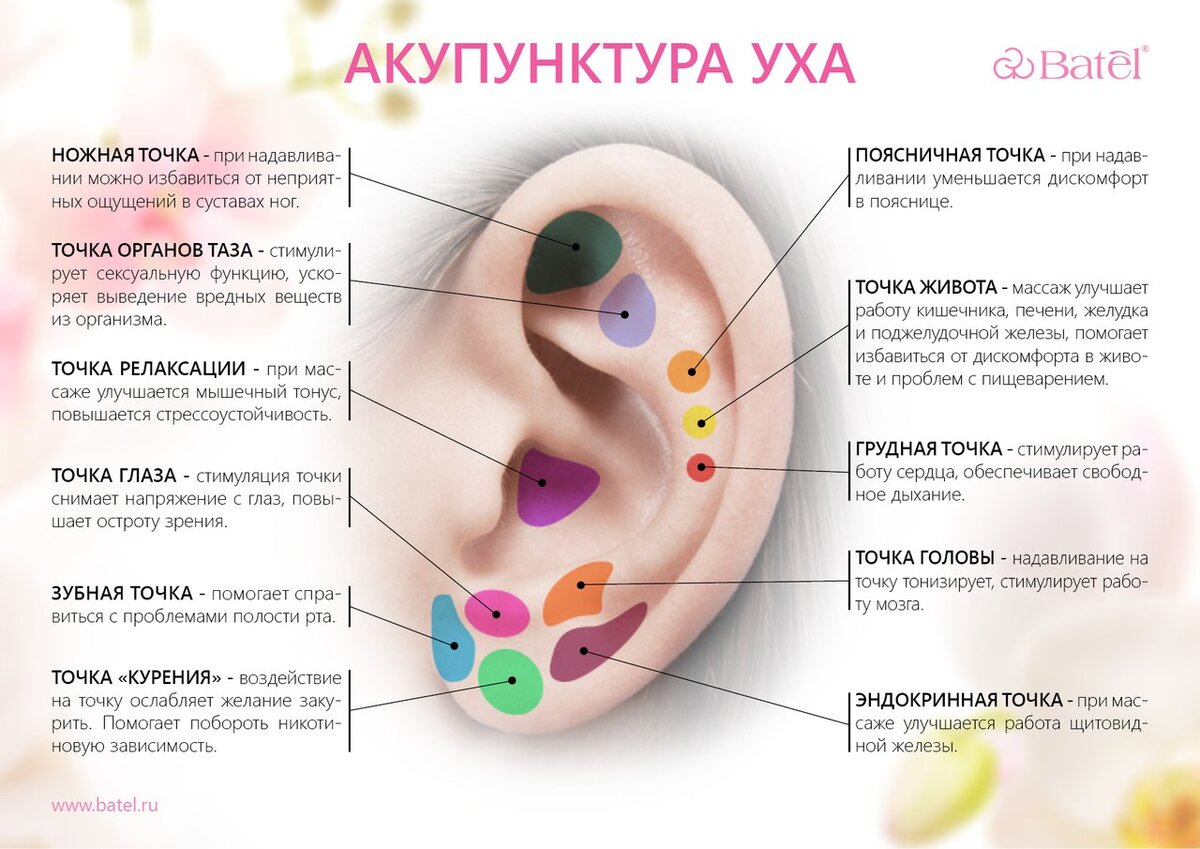 Схема прокола мочки уха