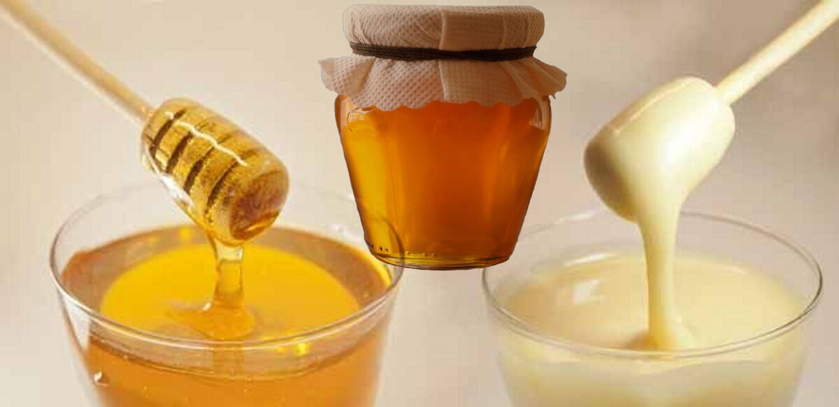 Процесс кристаллизации мёда
