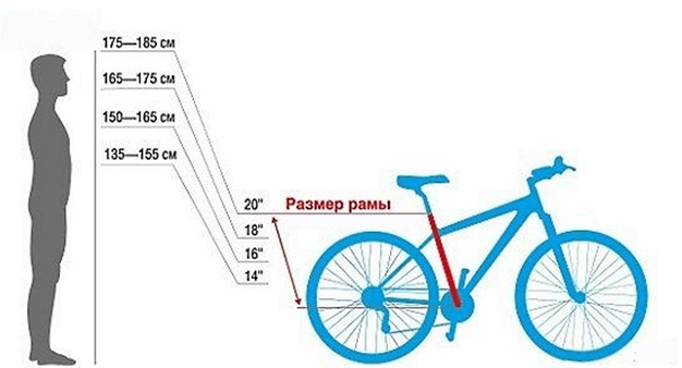 Правильный выбор размера велосипеда – залог комфортной езды. Слишком высокая рама будет доставлять значительные неудобства, особенно новичку велоспорта.-2