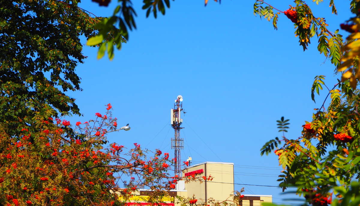 Включение 4G+ на смартфоне зависит от многих факторов