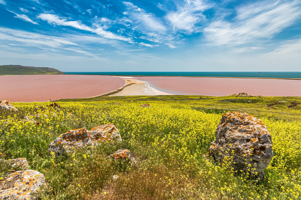 Розовое озеро в Крыму и красоты Опукского заповедника (фото) Записки. Бродилкина