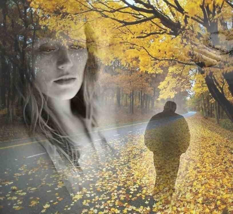 картинка из свободного доступа в интернете