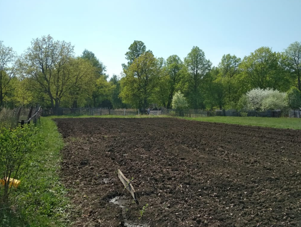 Участок земли для посадки картофеля