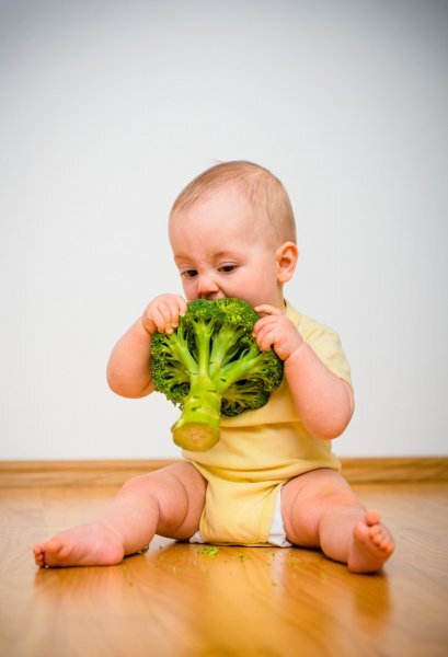 Свободный источник из интернета