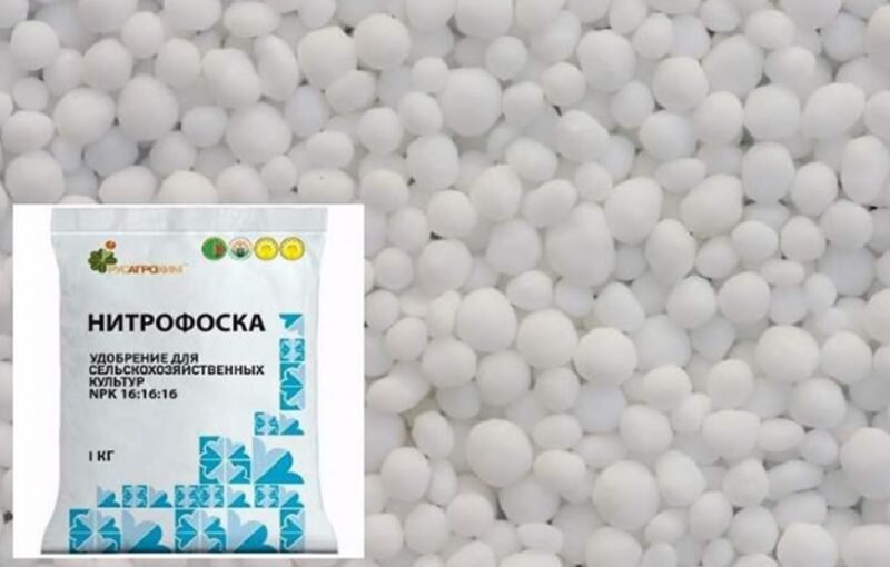 Нитрофоска. (Фото используется с сайта kakudobrit.ru)