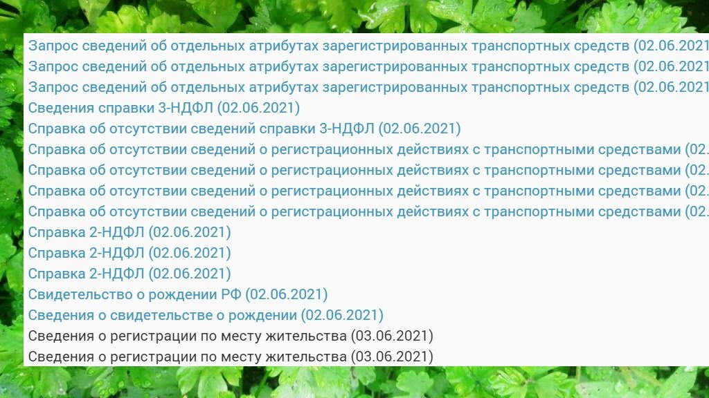 последние запросы шли от 2 июня, и снова по авто (дубли от 14 мая)