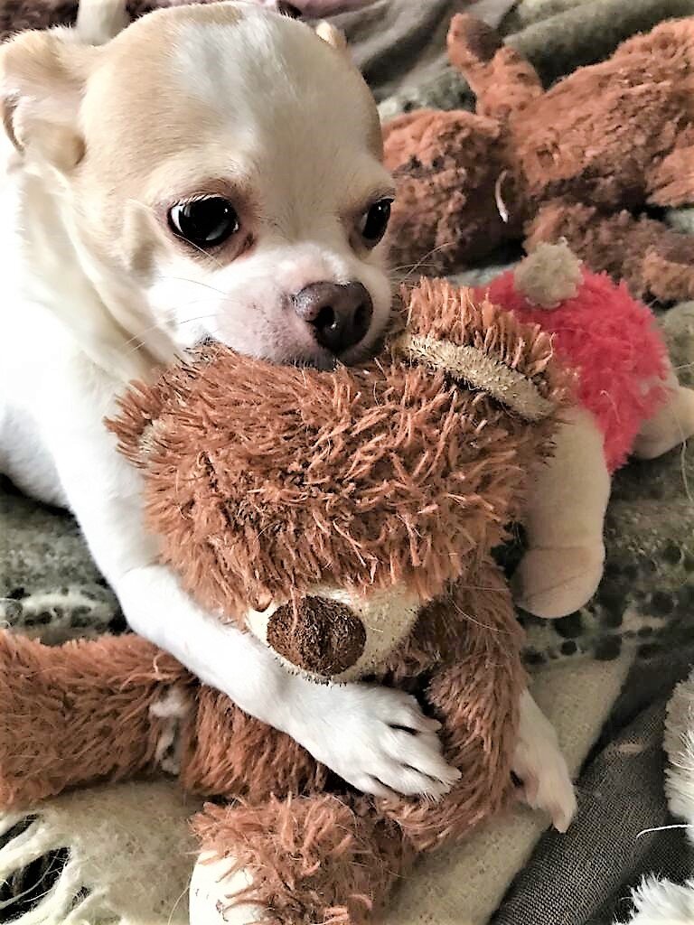 с любимой игрушкой