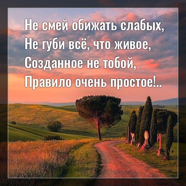 нельзя обижать слабых. сильные помогают слабым цитаты. нельзя обижать животных. кто обижает слабых. нельзя обижать слабых.
