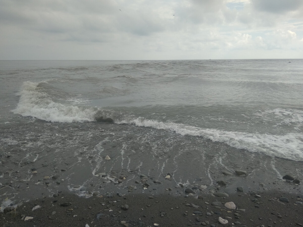 Море... море...