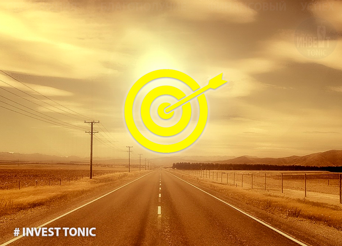 Всем привет! Поговорим о моих планах и целях по изучению инвестиций?! Invest Tonic