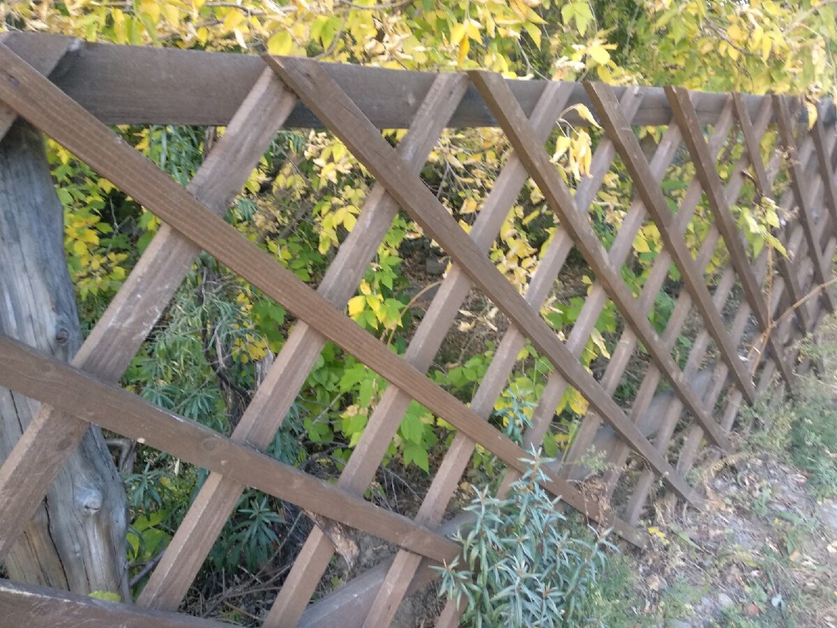 Забор для дома или дачи: какие виды бывают, что выбрать, сколько стоит