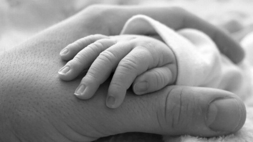 Фото из открытого доступа сети Интернет