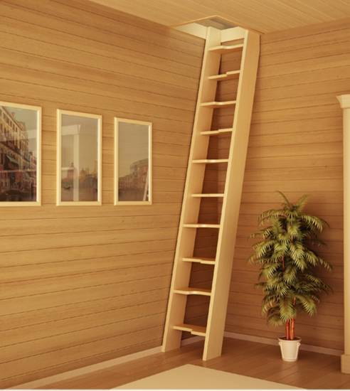 Примерно такой уклон был. Только лестница была в пыльном не освещаемом чулане размерами 1,5 метра на 1 метр.