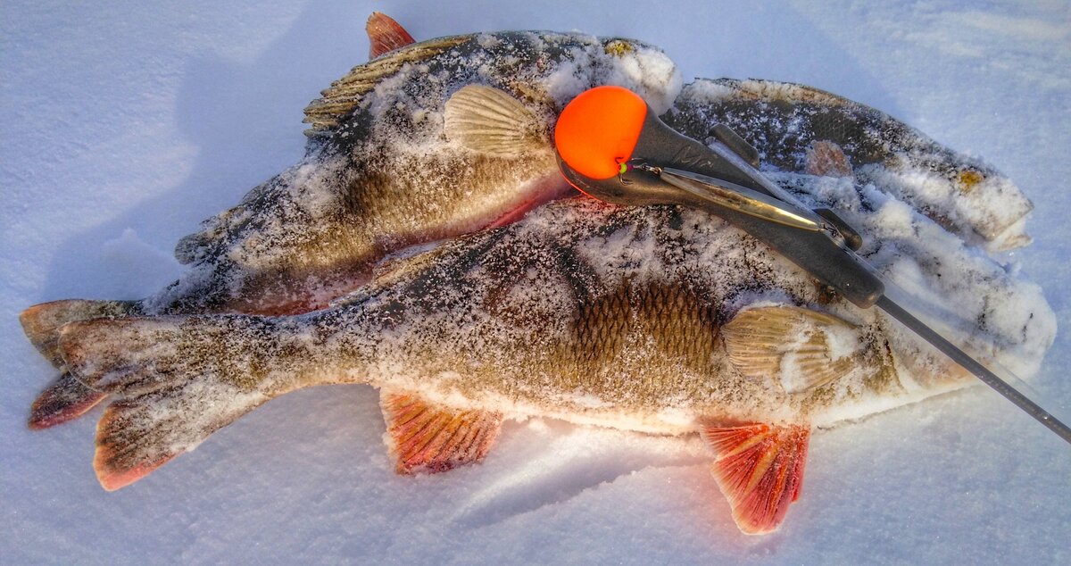 Сухой Лист подвес