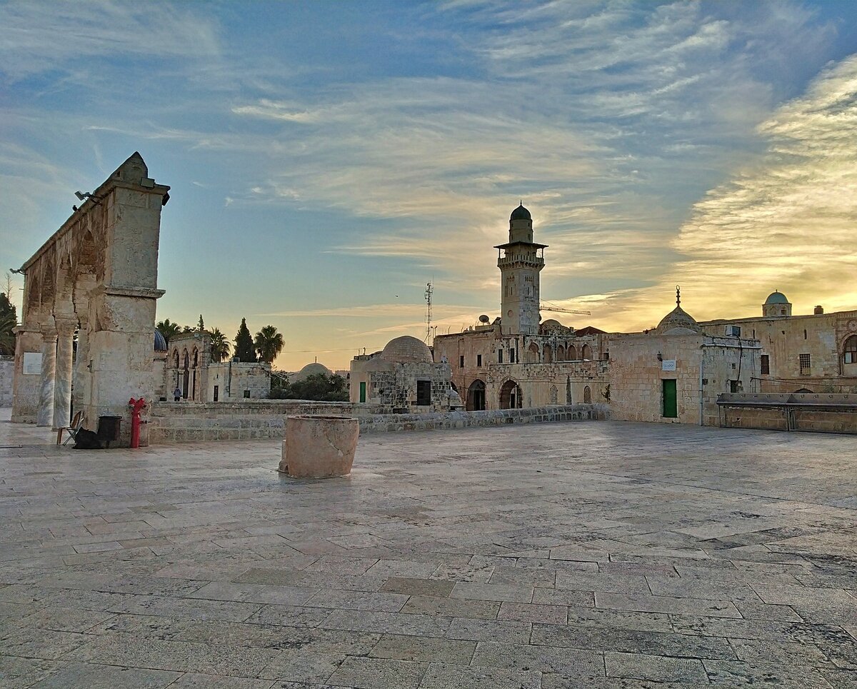 В своей книге Иоиль описывает нападение на Израиль саранчи. Фото: Pixabay.com 