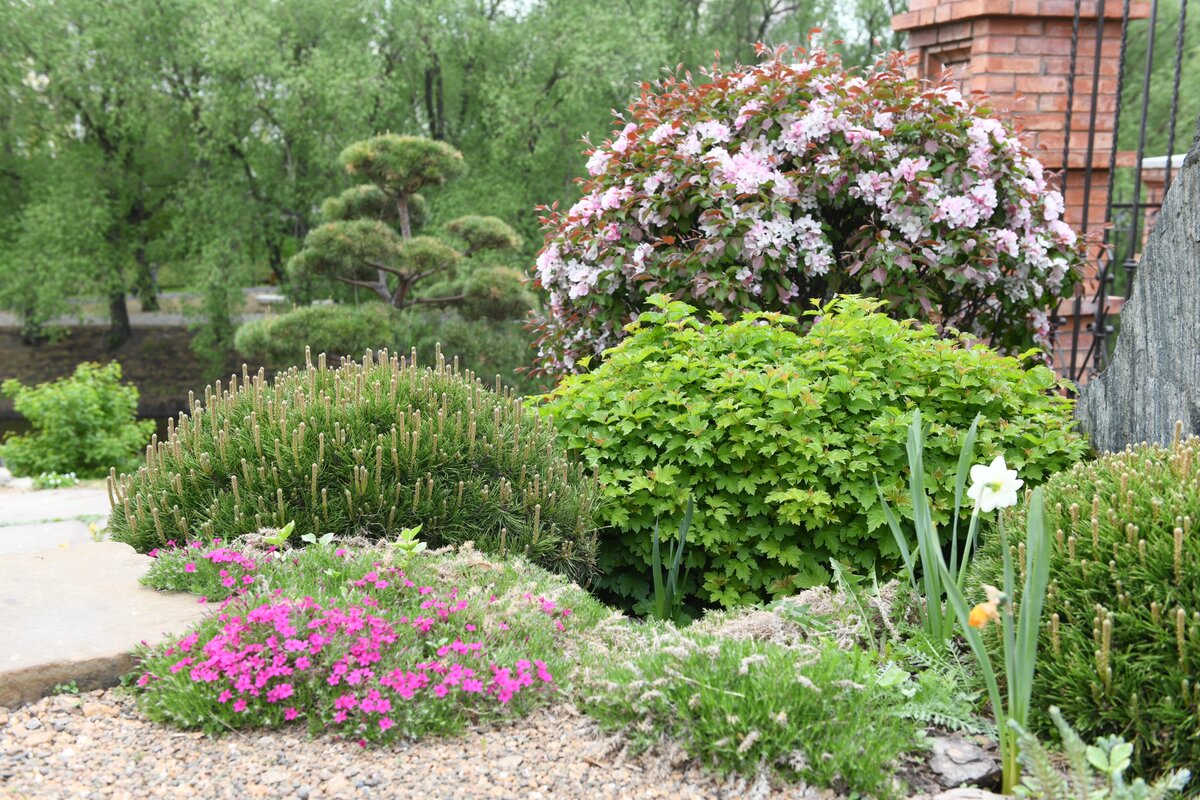 Это сад в Екатеринбурге, ставший прототипом выставочного сада в Челси