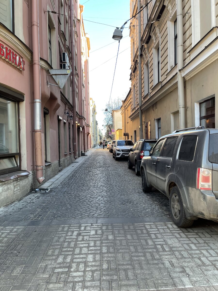 Вид на улицу Репина со Среднего проспекта