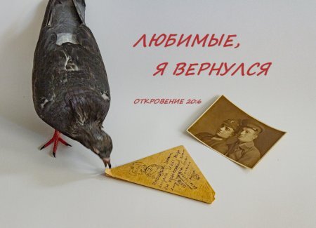 фото автора(С)