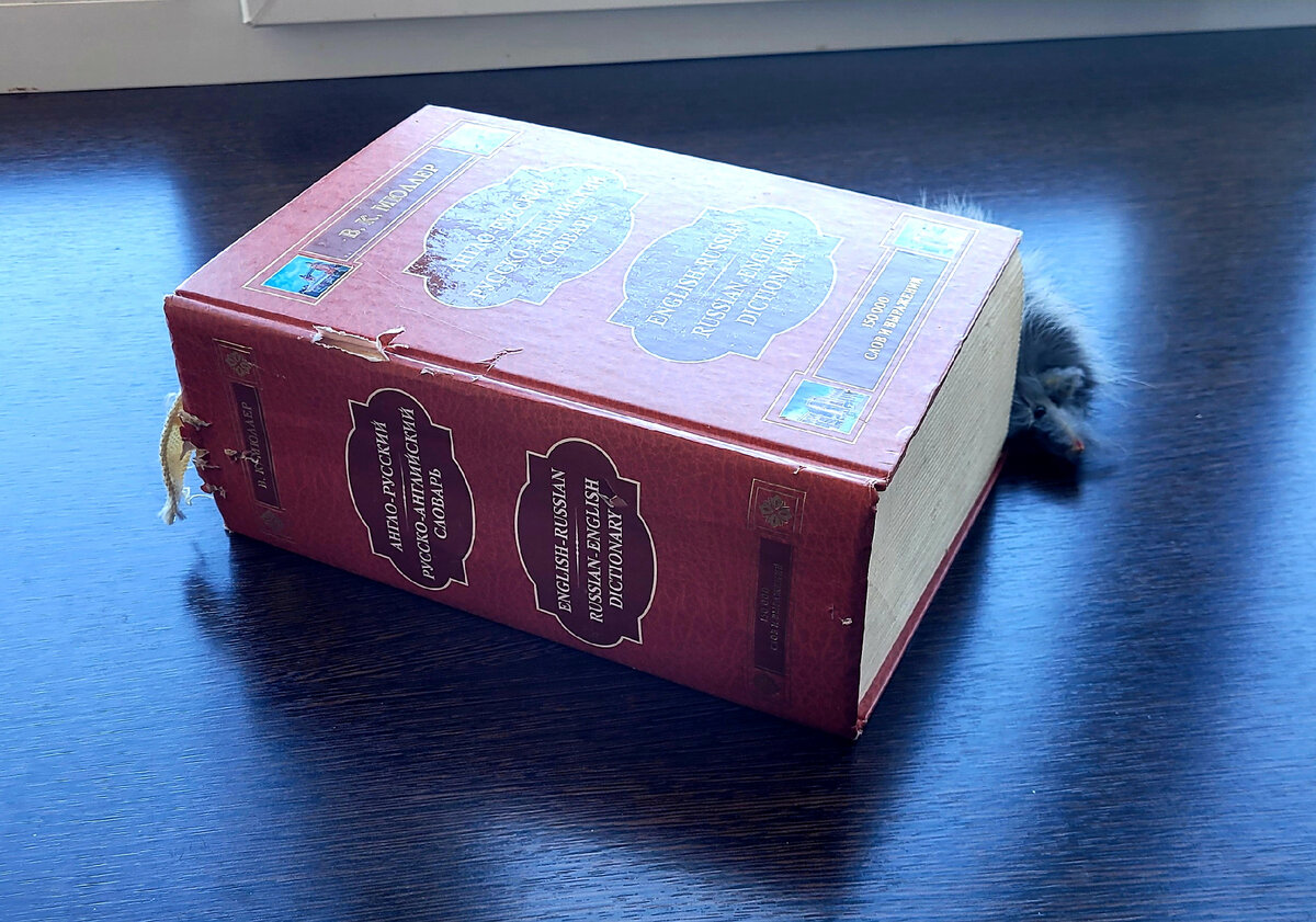 вот этот словарь. Очень толстый!