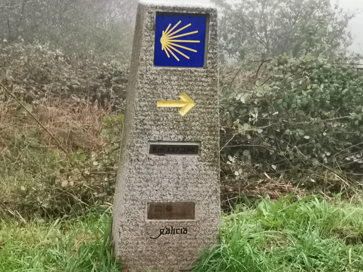 Камино знаки