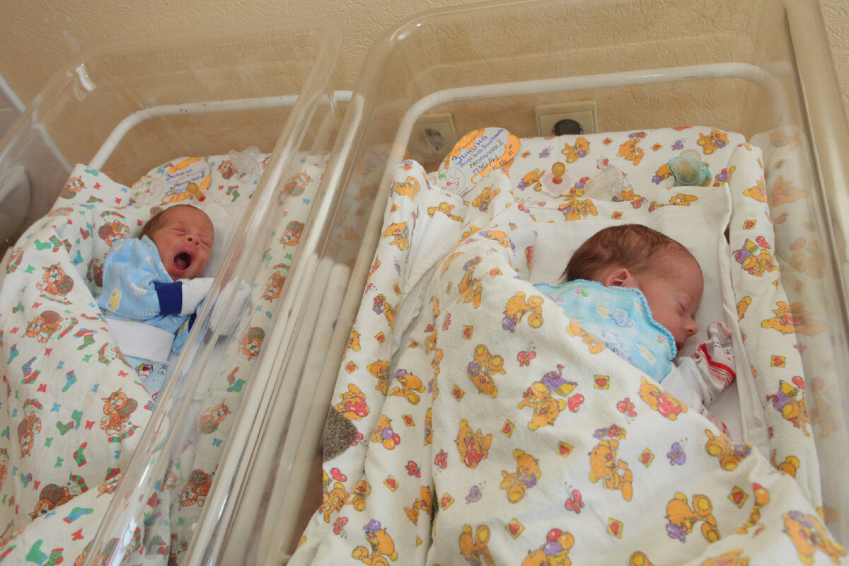 Фото: Павел Комаров, nsknews.info