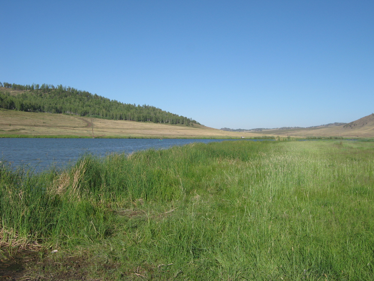 Фото автора 