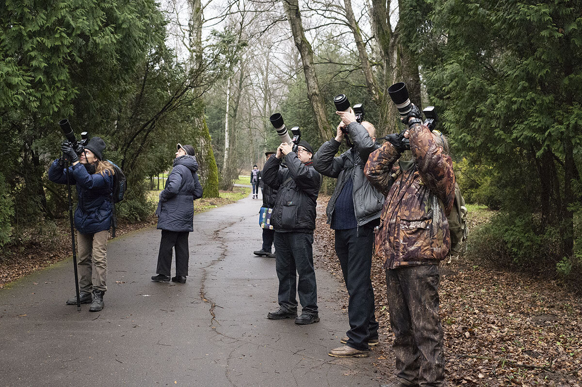 Фотографы в ГБС