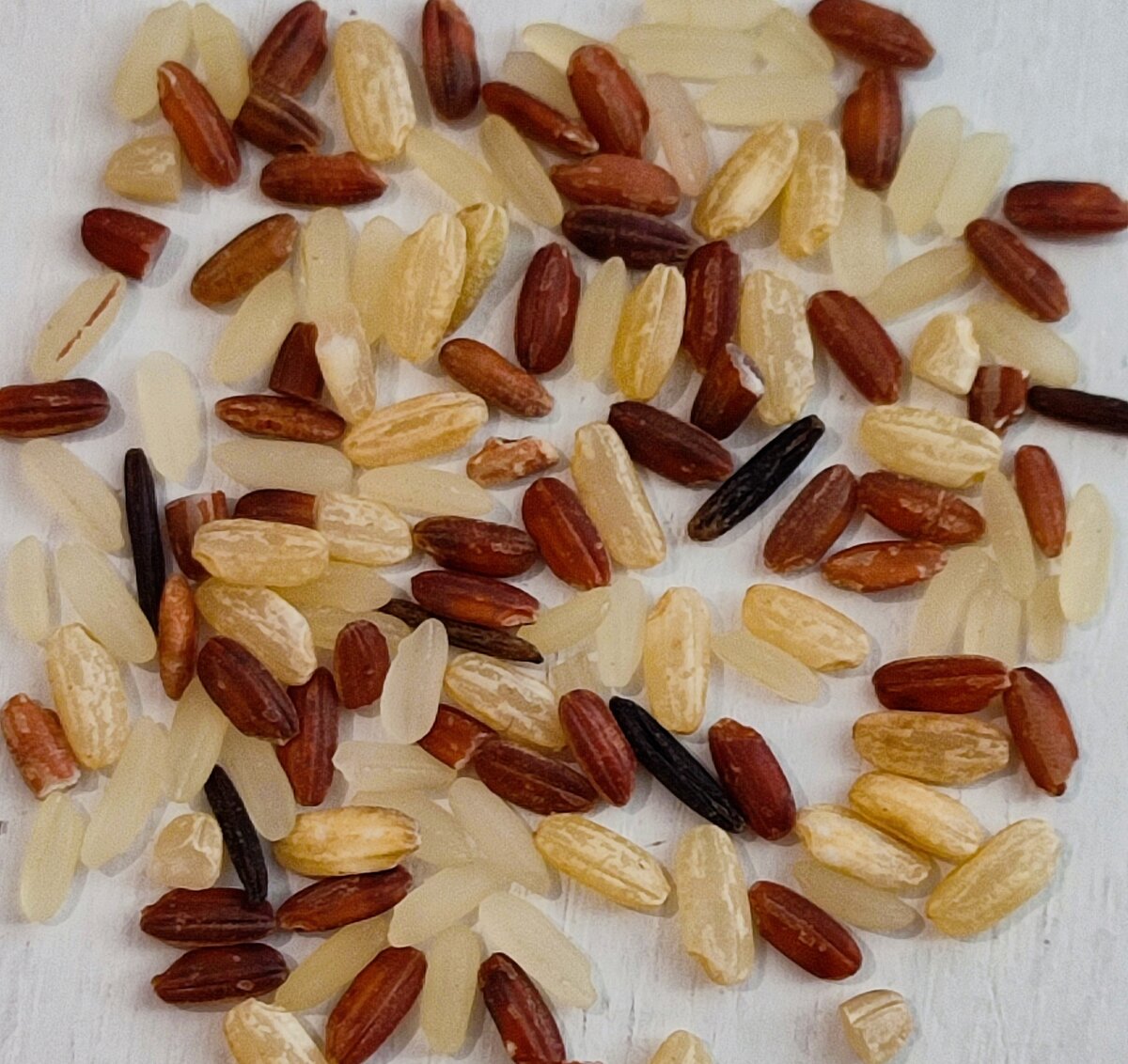 На фото  видно чёрные длинные рисинки - это и есть дикий рис. Видела упаковку и чисто чёрного дикого риса, но не рискнула взять, а может и надо было. 