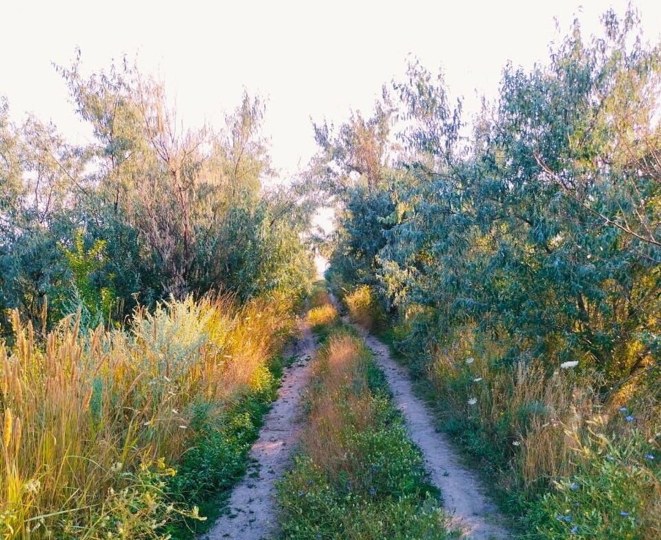В природе все без изменений, страдания только в нашем уме