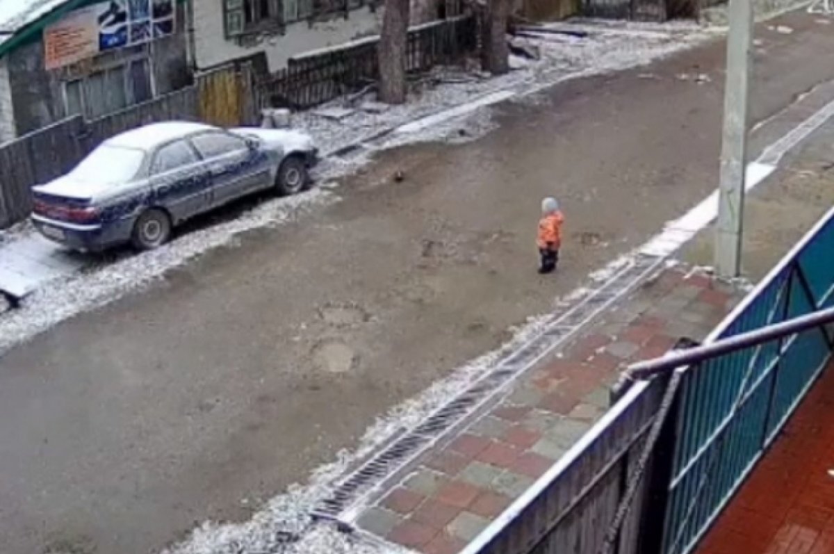    Появилось видео побега 2-летнего мальчика из детского сада в Новосибирске