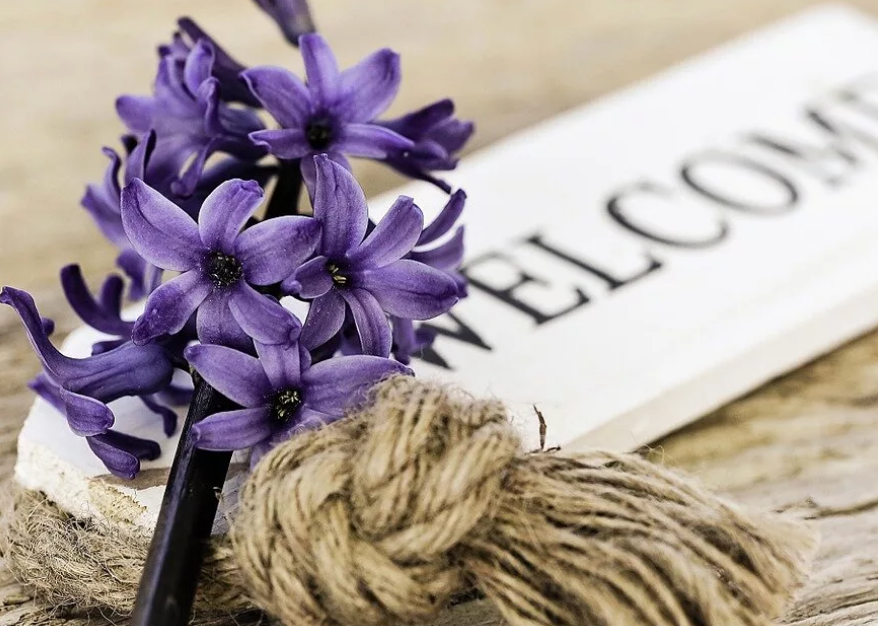 Картинка из интернет