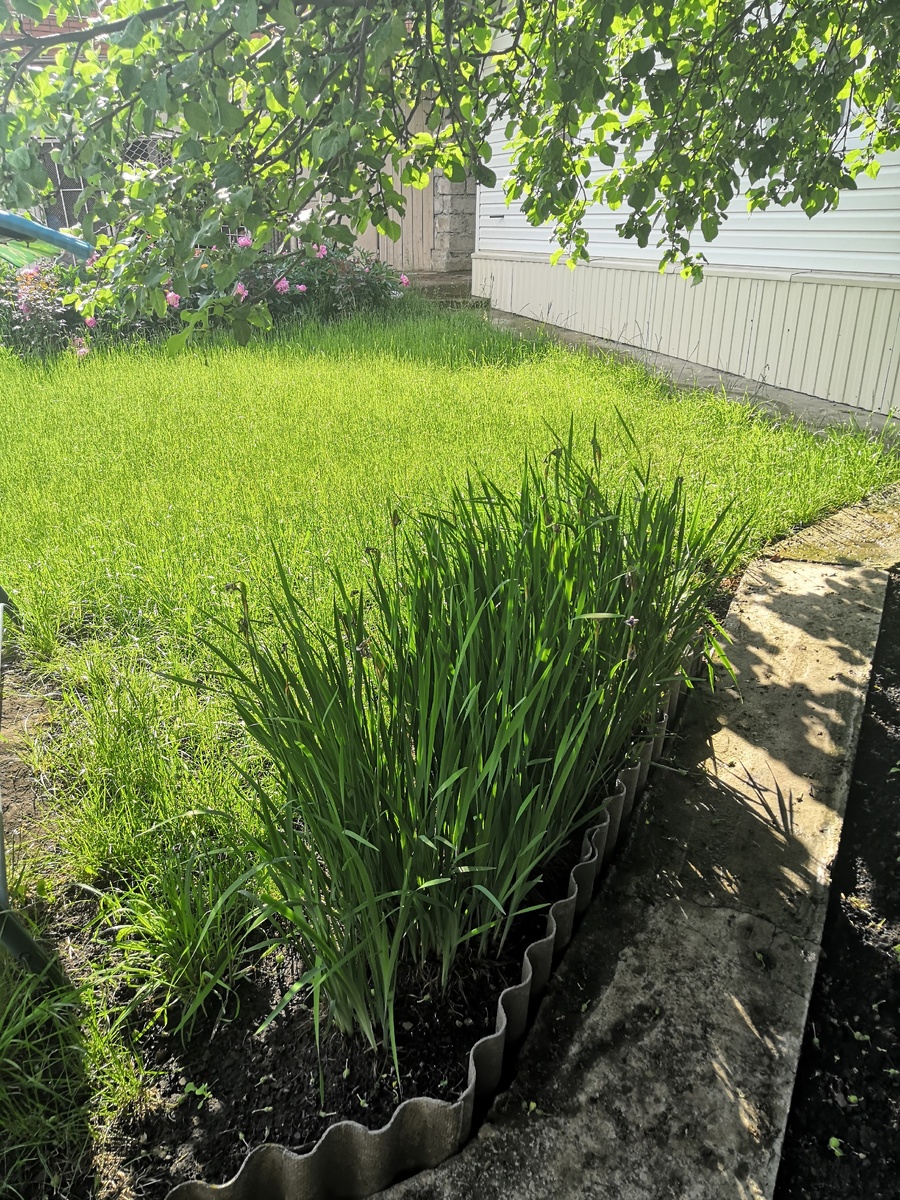 Вид с беседки.