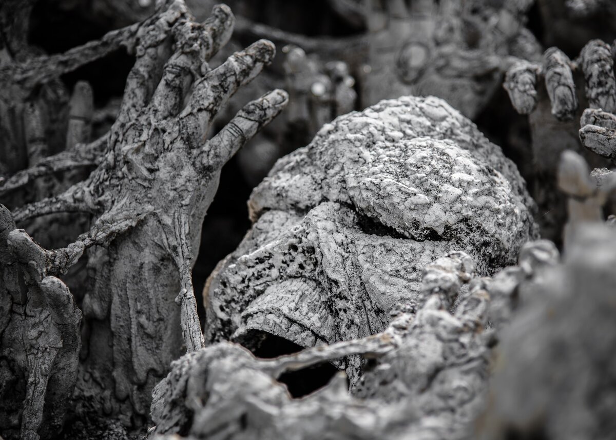 Фото из открытых источников.