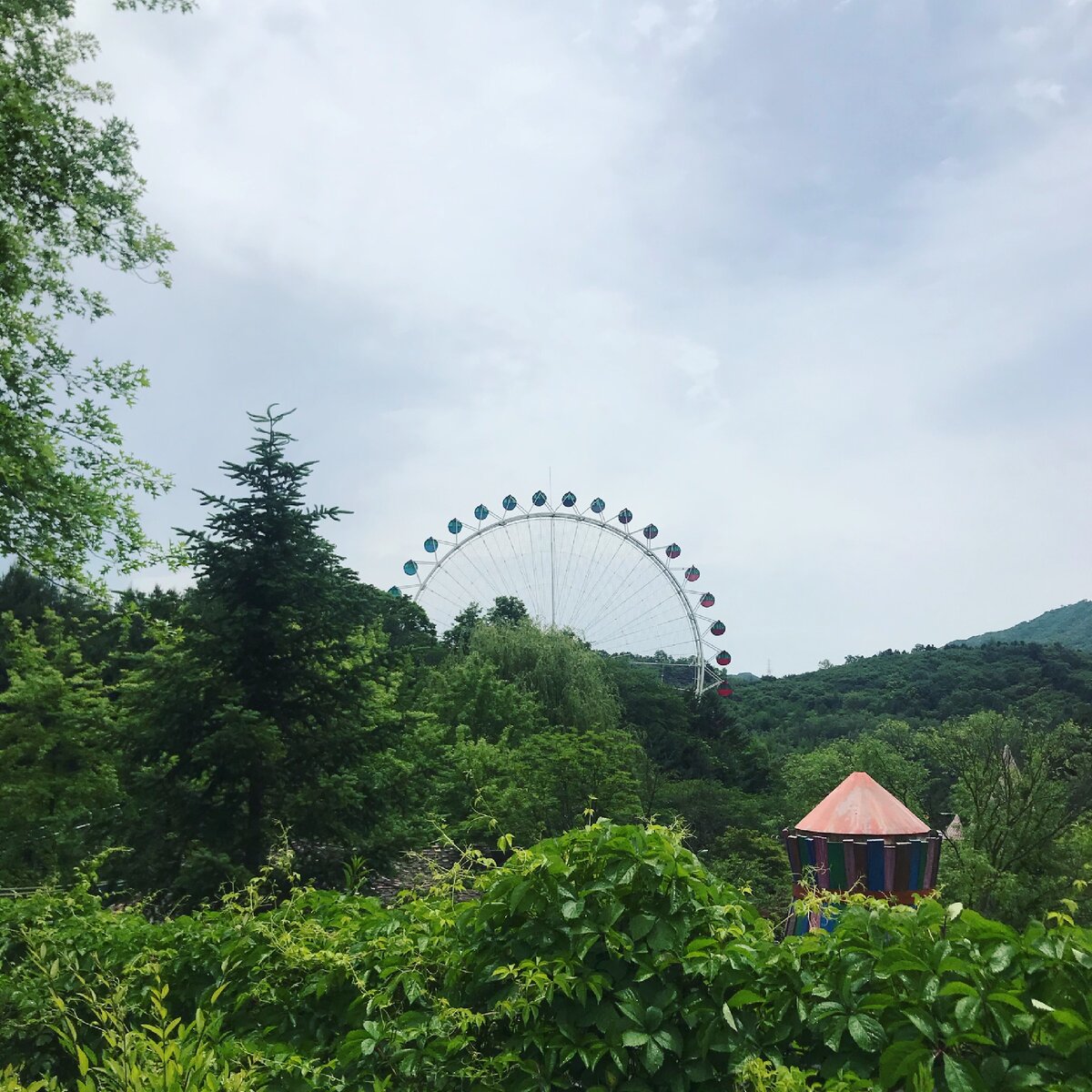 Вид на колесо обозрения