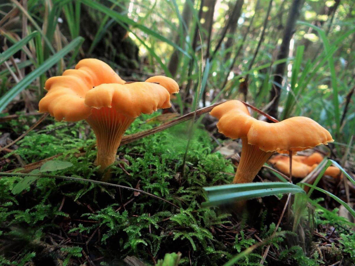 Это будет завтра... (фото Val Cow)