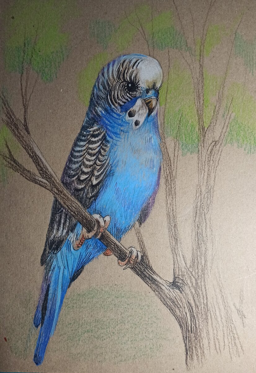 фото работы автора