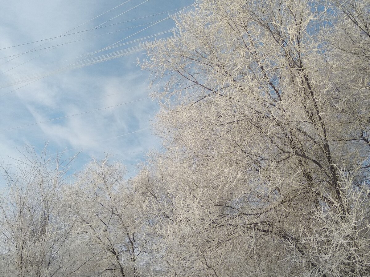 В ажурных одеждах утреннего инея