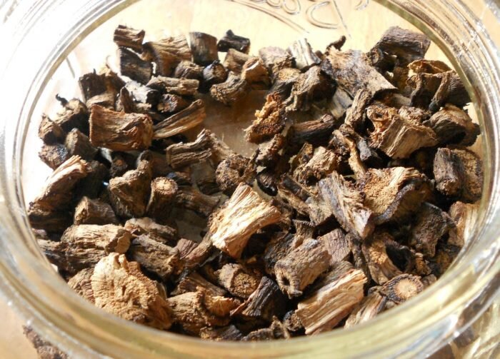 Используют корни и листья цикория