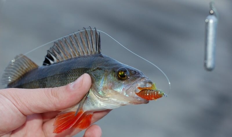 Фото: Яндекс.Картинки 