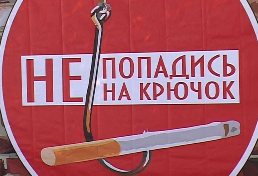 Картинка из сети