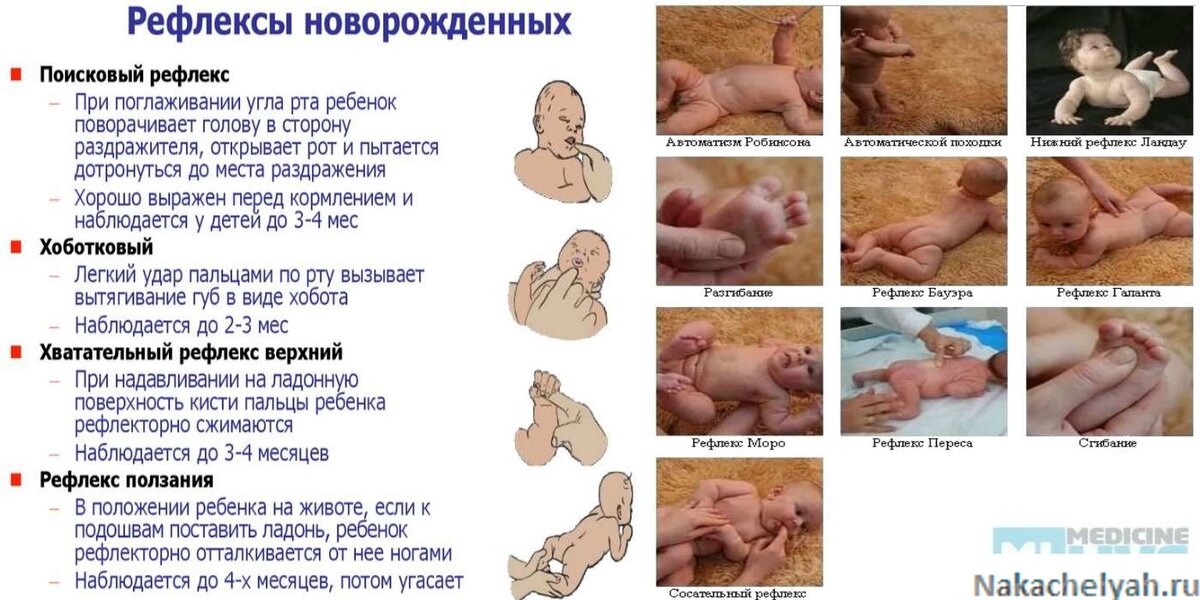 Основные рефлексы у детей раннего возраста таблица