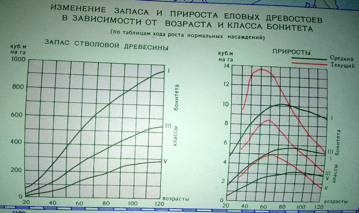 В галерее представлены средние показатели древостоя разных пород. Обратите внимание на запас ели и прирост, и сравните с другими породами. Графики взяты из Атласа лесов СССР.