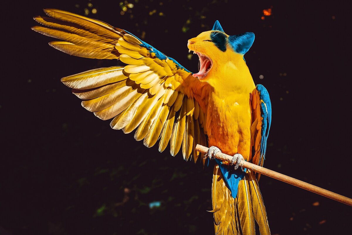-2