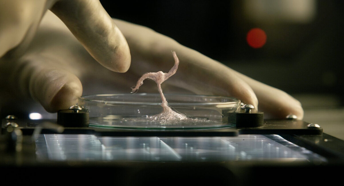 Первый контакт с внеземной жизнью