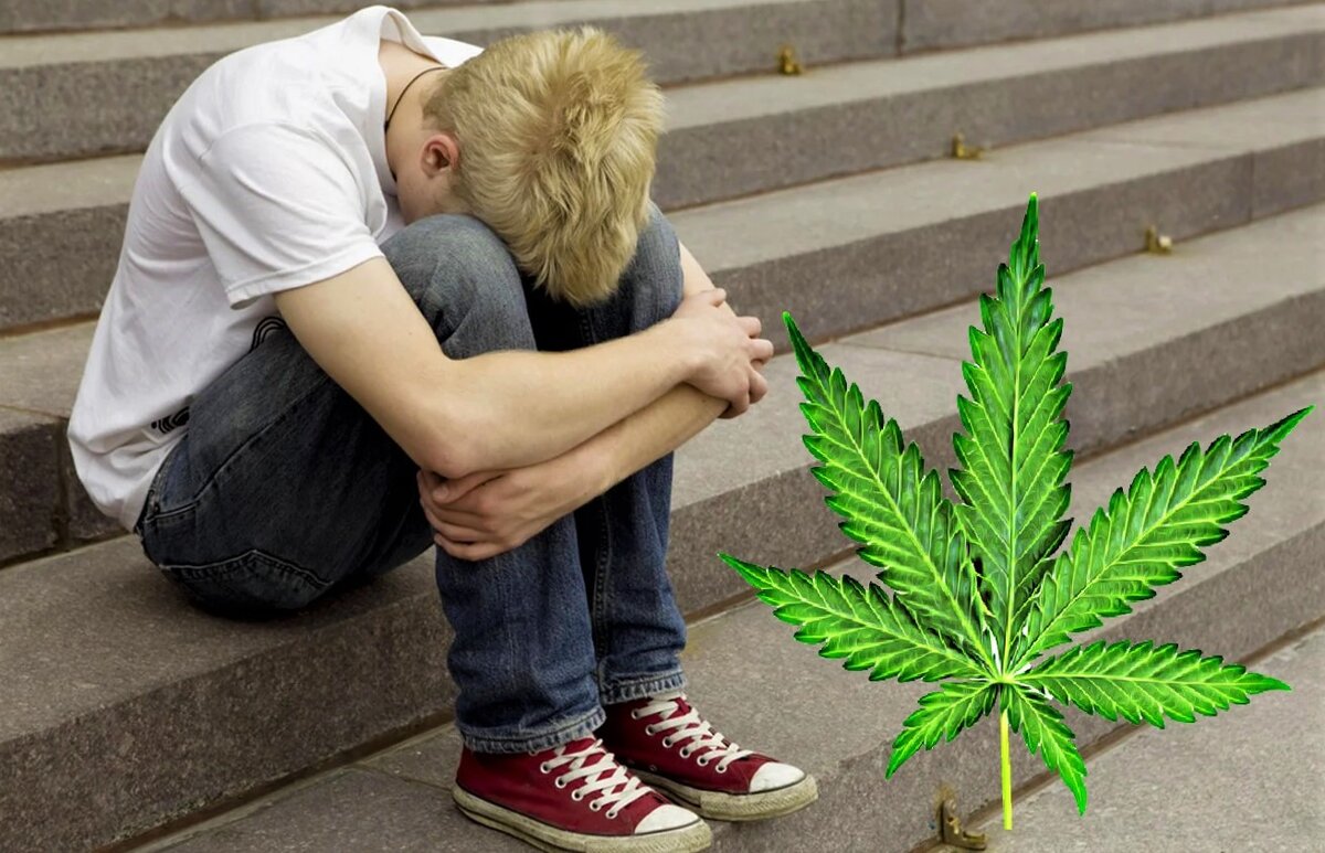 Отупел от марихуаны цели легализации марихуаны