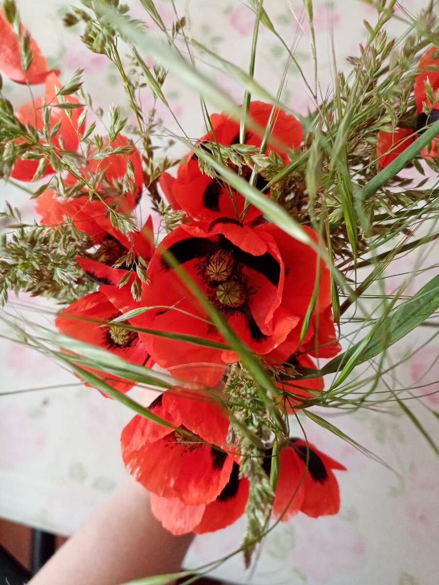 Мой утренний букетик к дню рождения